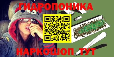 ПСИЛОЦИБИНОВЫЕ ГРИБЫ Гусь-Хрустальный