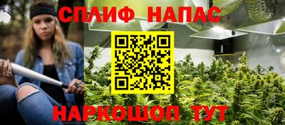 spice Гусев