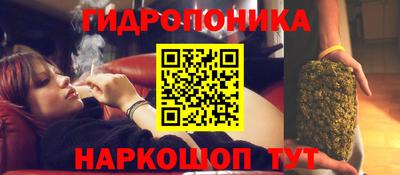 молекула духа Гусиноозёрск